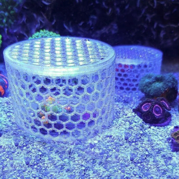 Mushroom Cage - Home & Garden