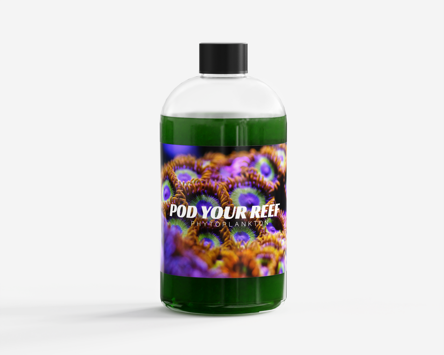 Nannochloropsis Phytoplankton Culture - Phytoplankton