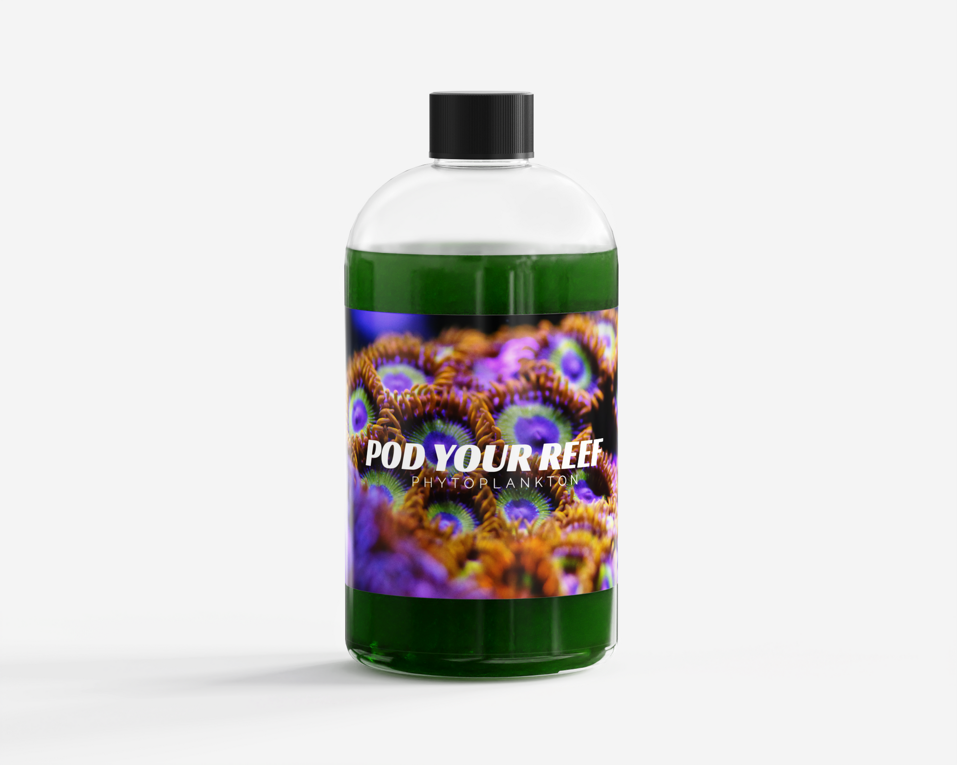 Nannochloropsis Phytoplankton Culture - Phytoplankton