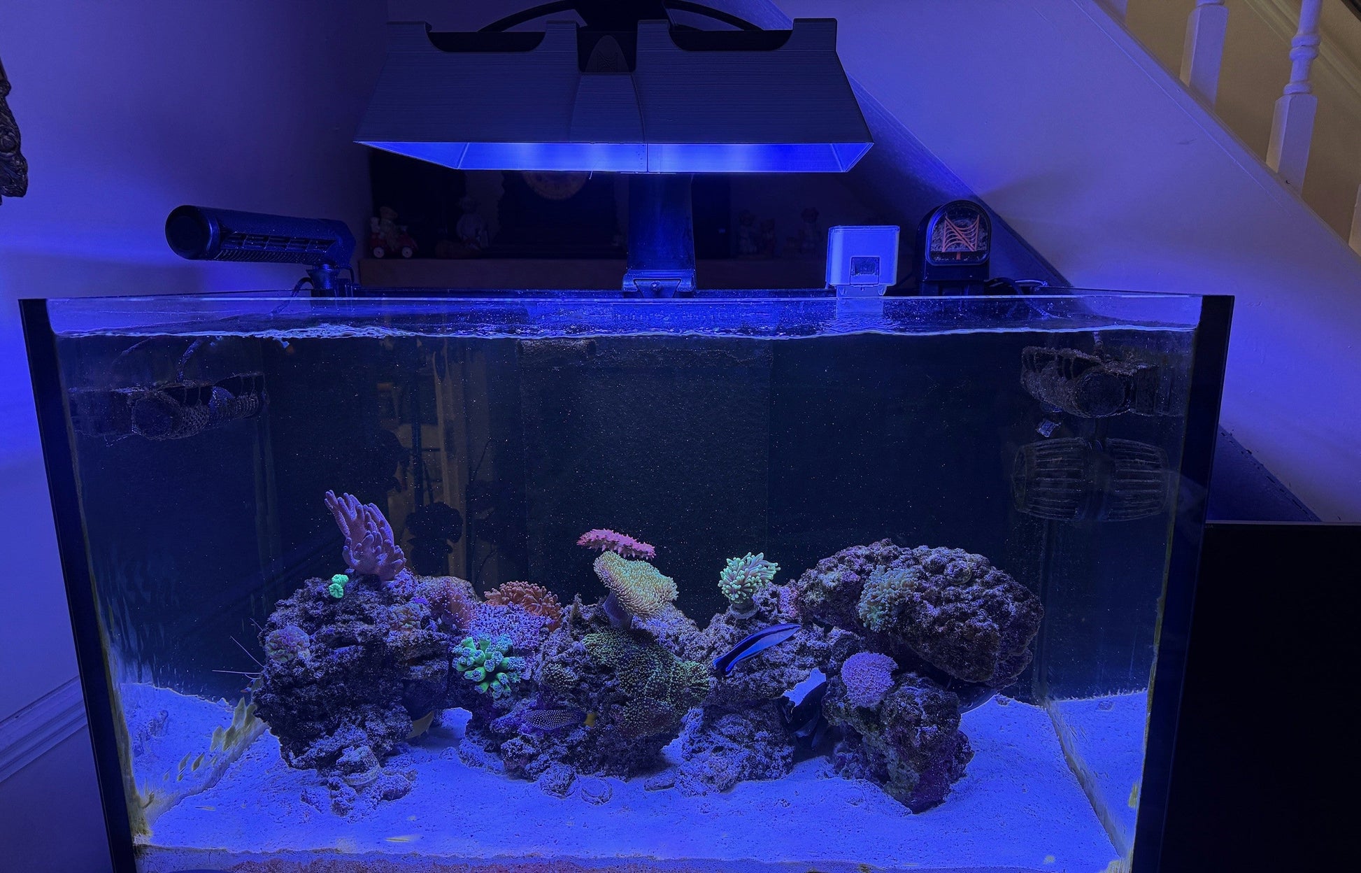 Neptune Systems SKY LED Light Shade - Animals & Pet Supplies