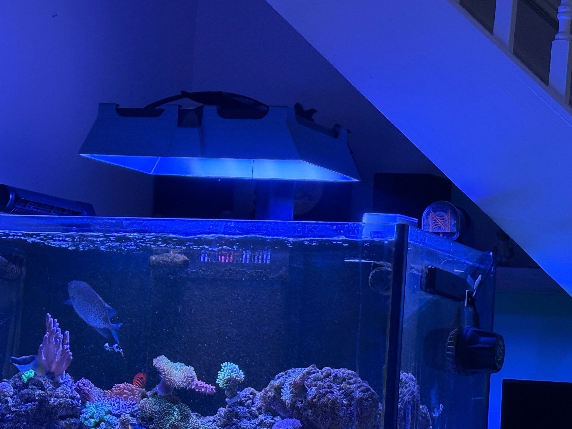 Neptune Systems SKY LED Light Shade - Animals & Pet Supplies