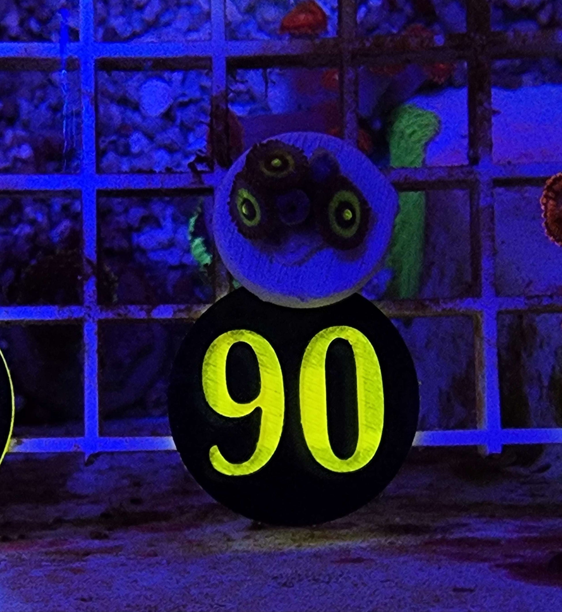 Outkast Zoanthid Frag, WYSIWYG!