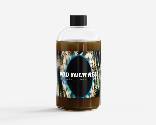 Phaeodactylum tricornutum Phytoplankton - Phytoplankton