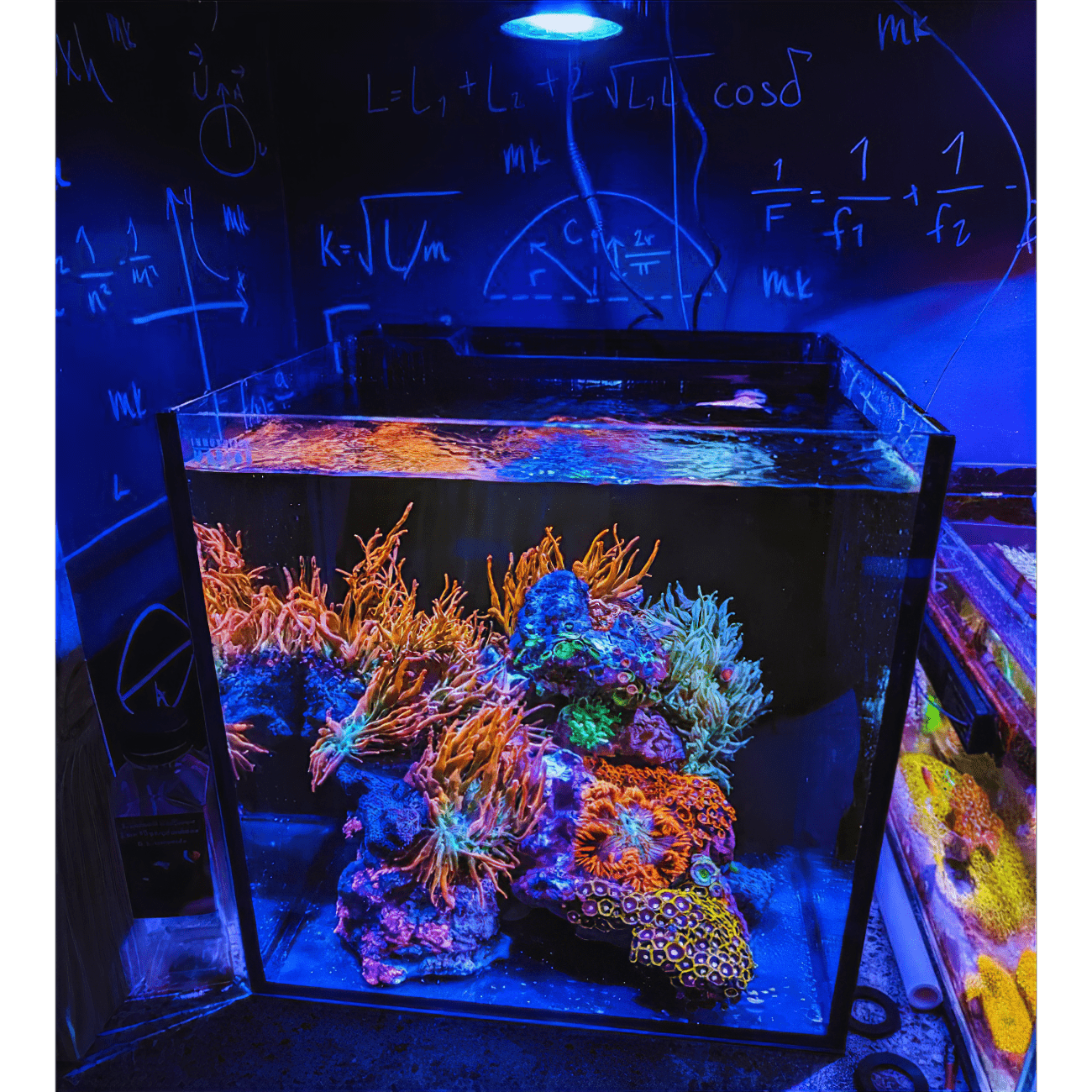 Pixel LED Bundles - lighting bundle pack