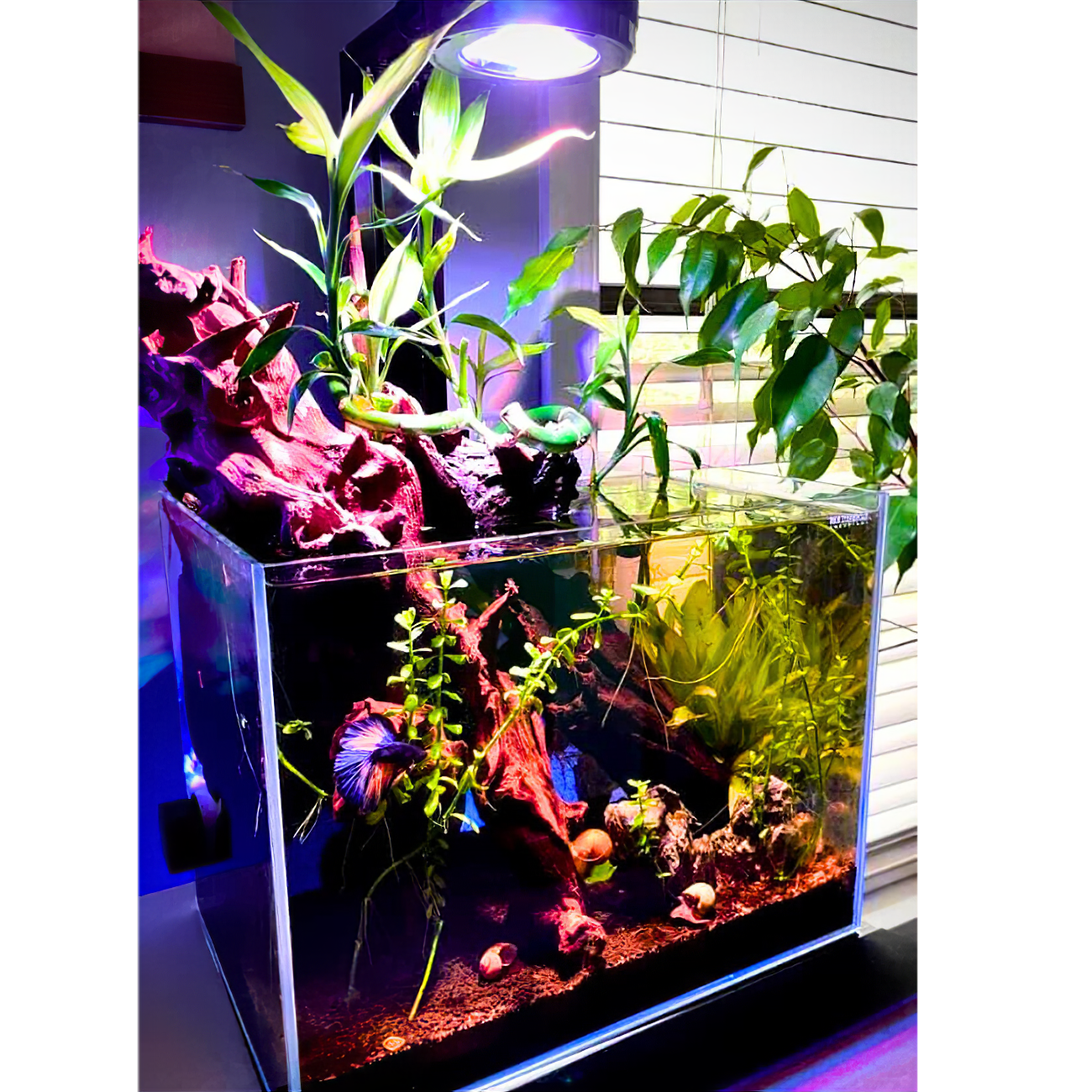 Pixel LED Bundles - lighting bundle pack