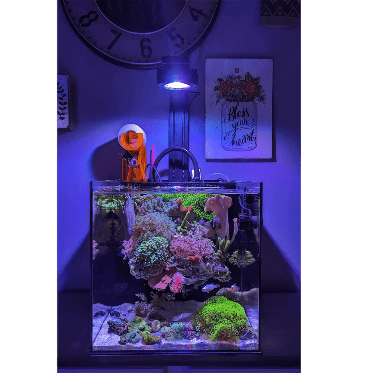 Pixel LED Bundles - lighting bundle pack