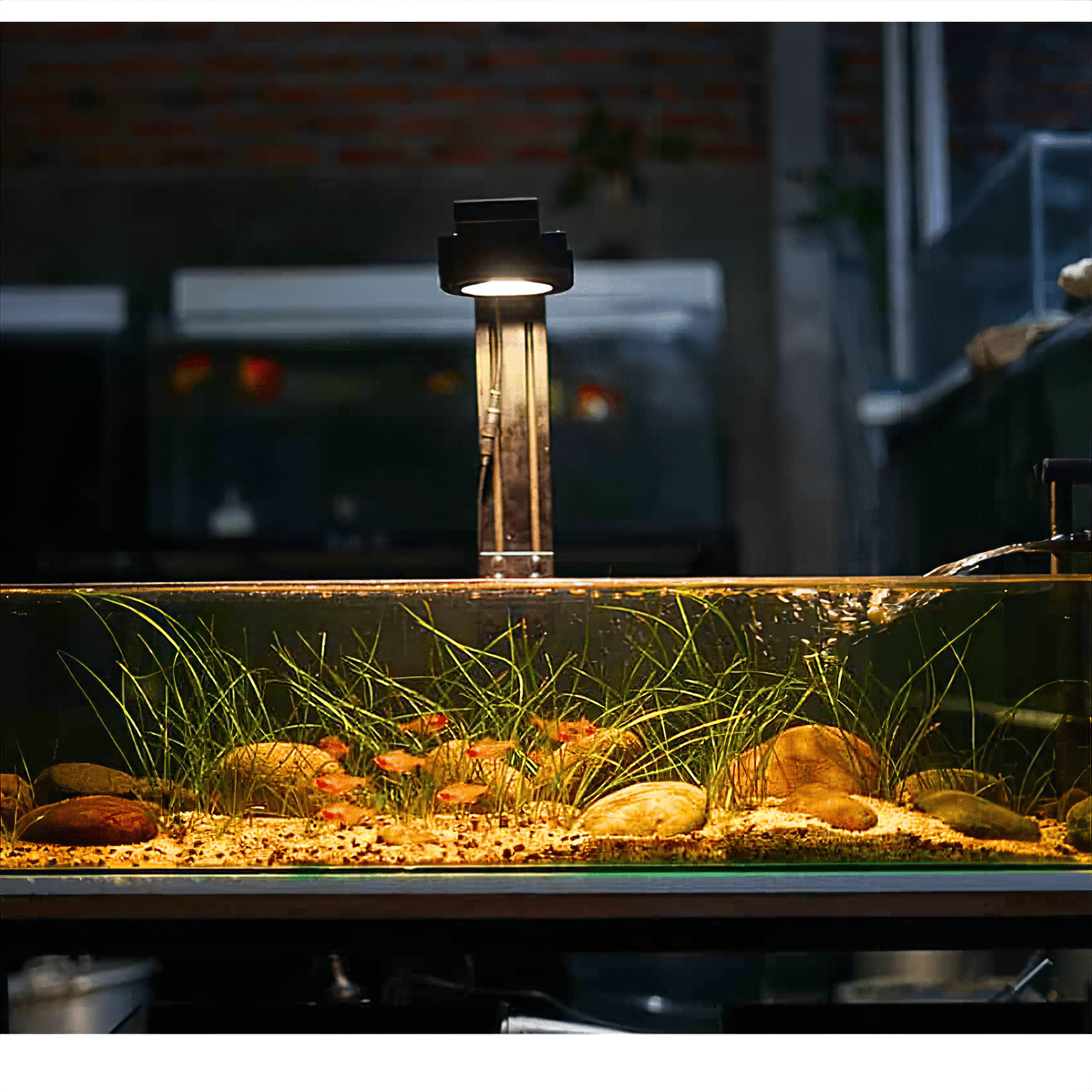 Pixel LED Bundles - lighting bundle pack