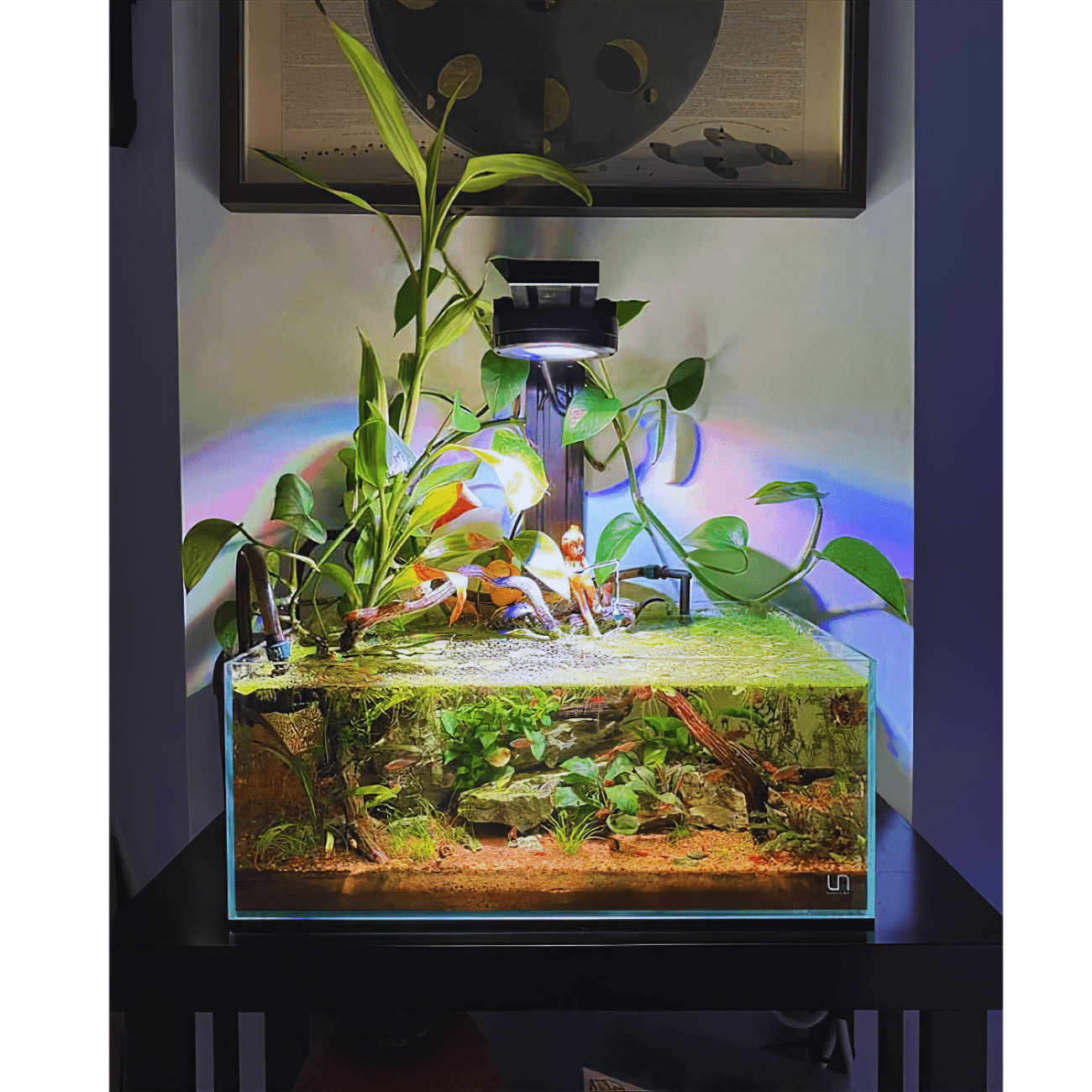 Pixel LED Bundles - lighting bundle pack