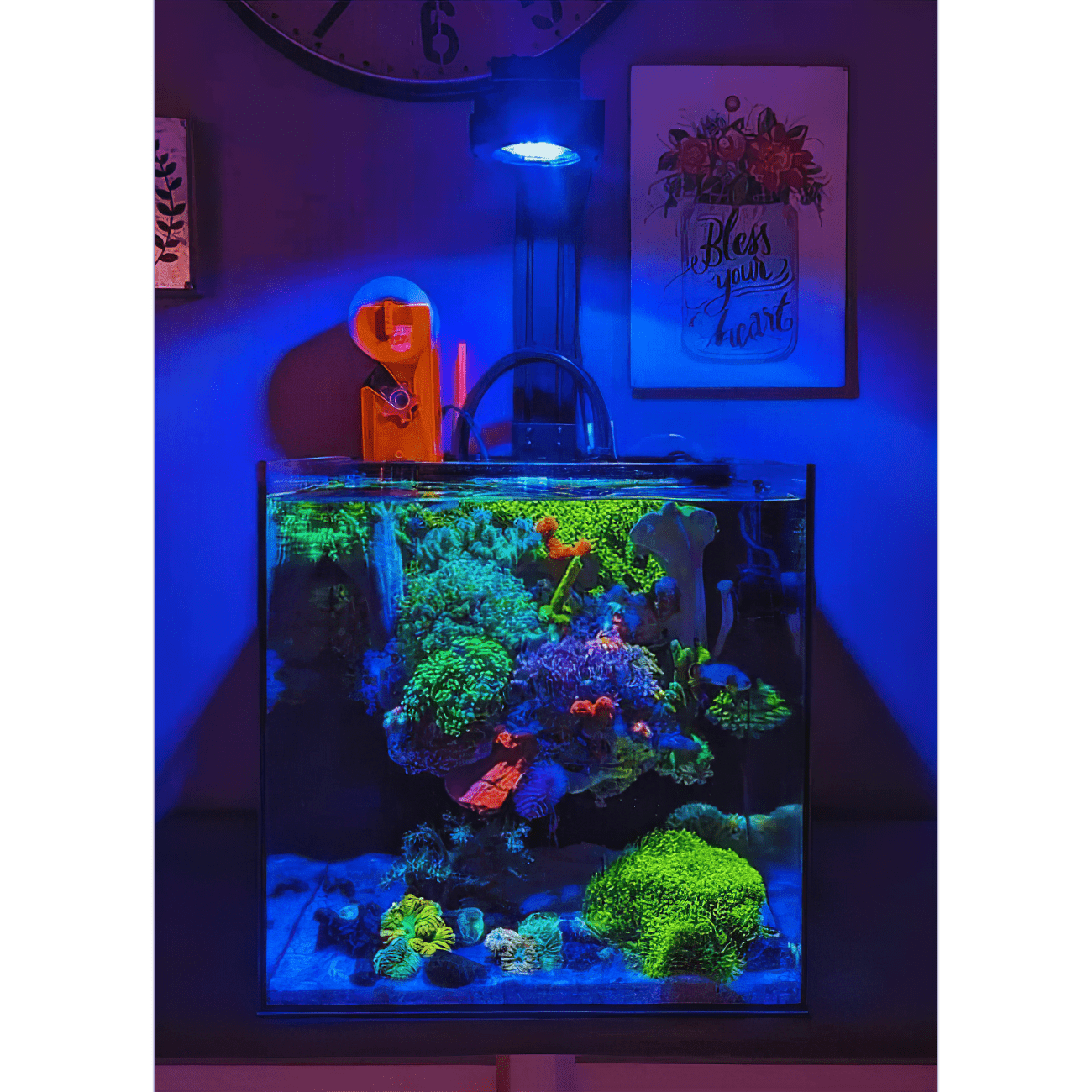 Pixel LED Bundles - lighting bundle pack