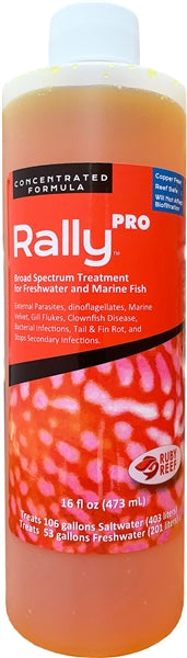 Rally PRO - Ruby Reef - 16oz - medication