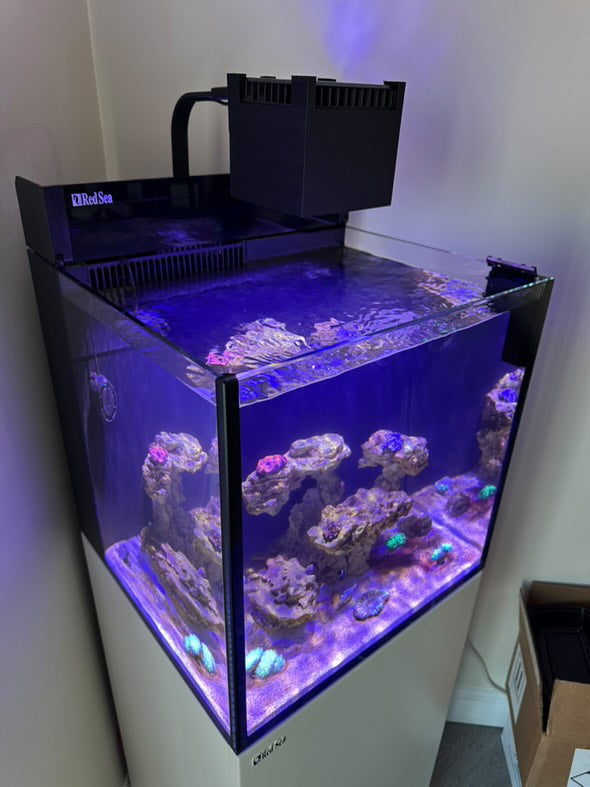 Red Sea ReefLED 50 LED Light Shade - Animals & Pet Supplies