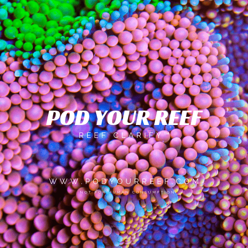 Reef Clarify - Aquarium Water Treatments