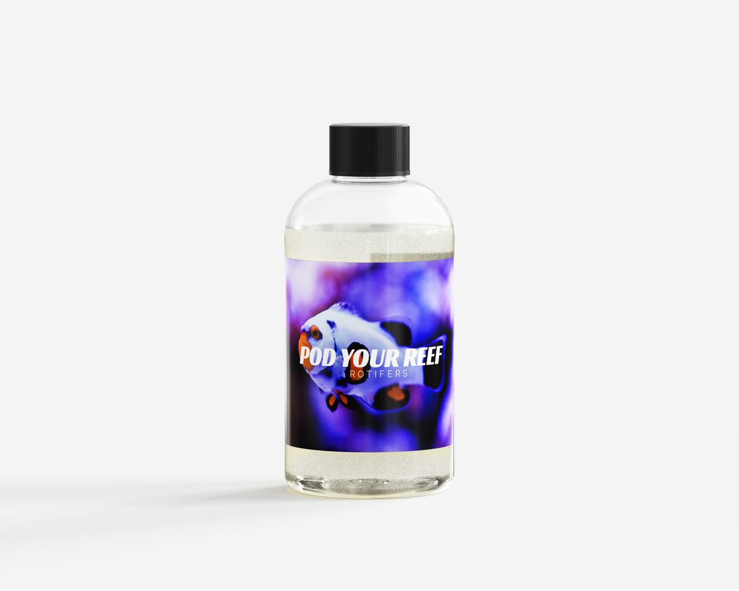 Rotifers - Zooplankton