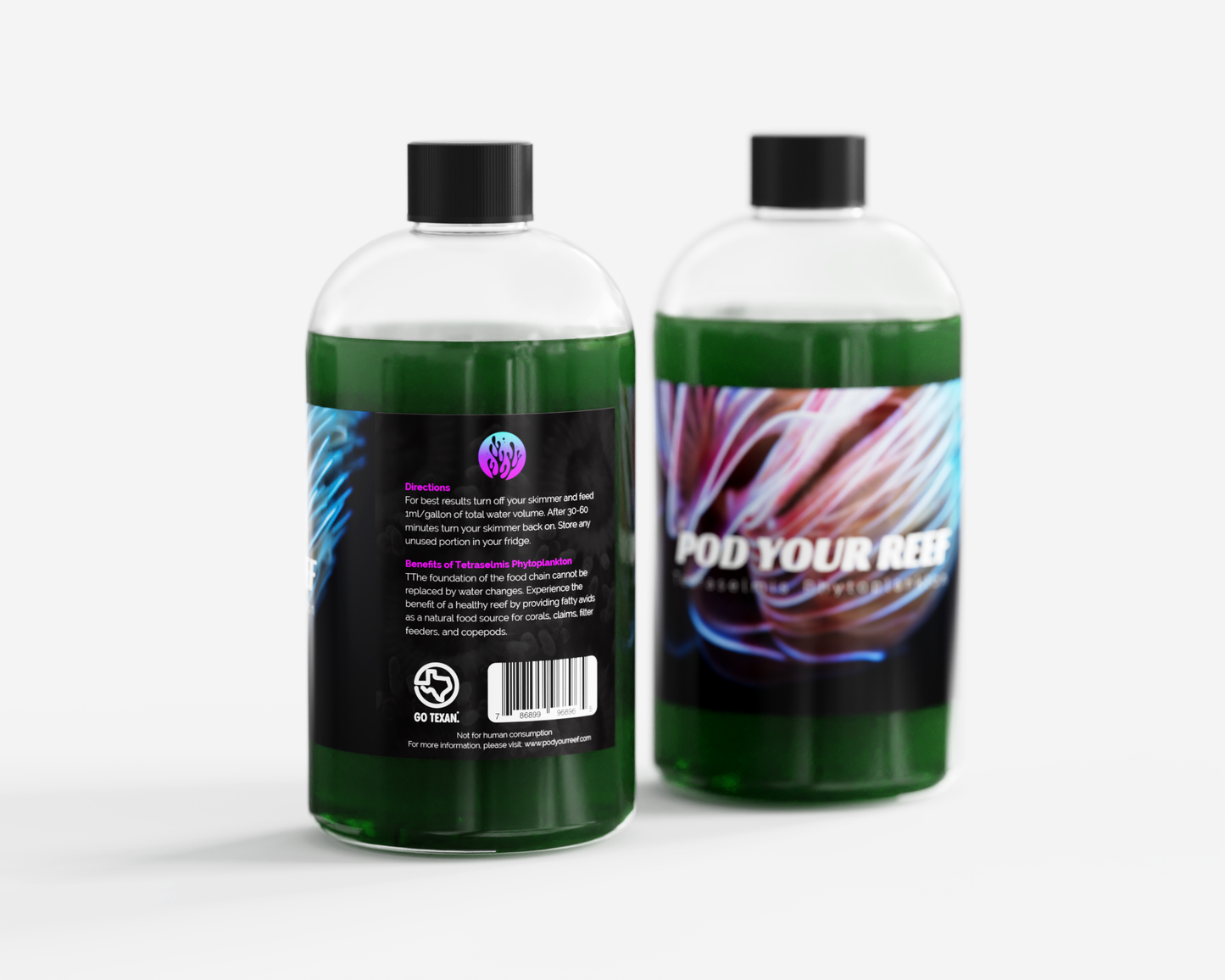 Tetraselmis chui Phytoplankton - Phytoplankton