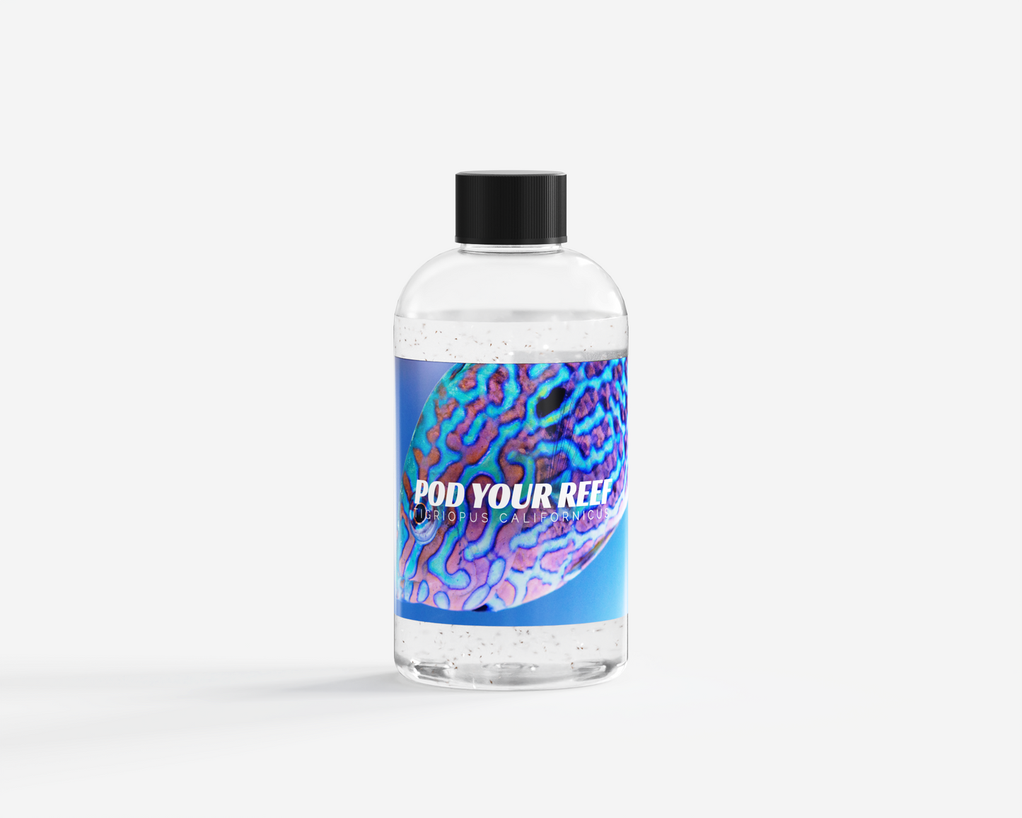 Tigriopus Californicus Reef Copepods - Zooplankton