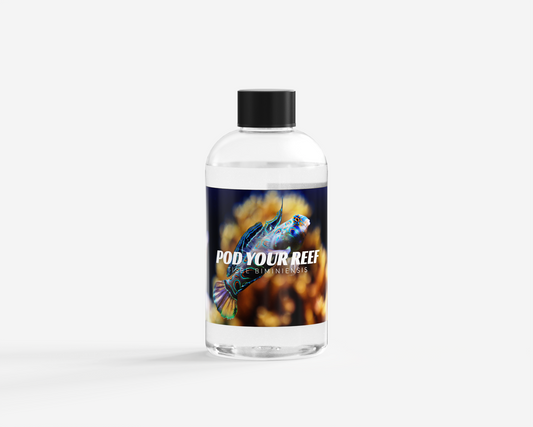 Tisbe Biminiensis Reef Copepods - Zooplankton