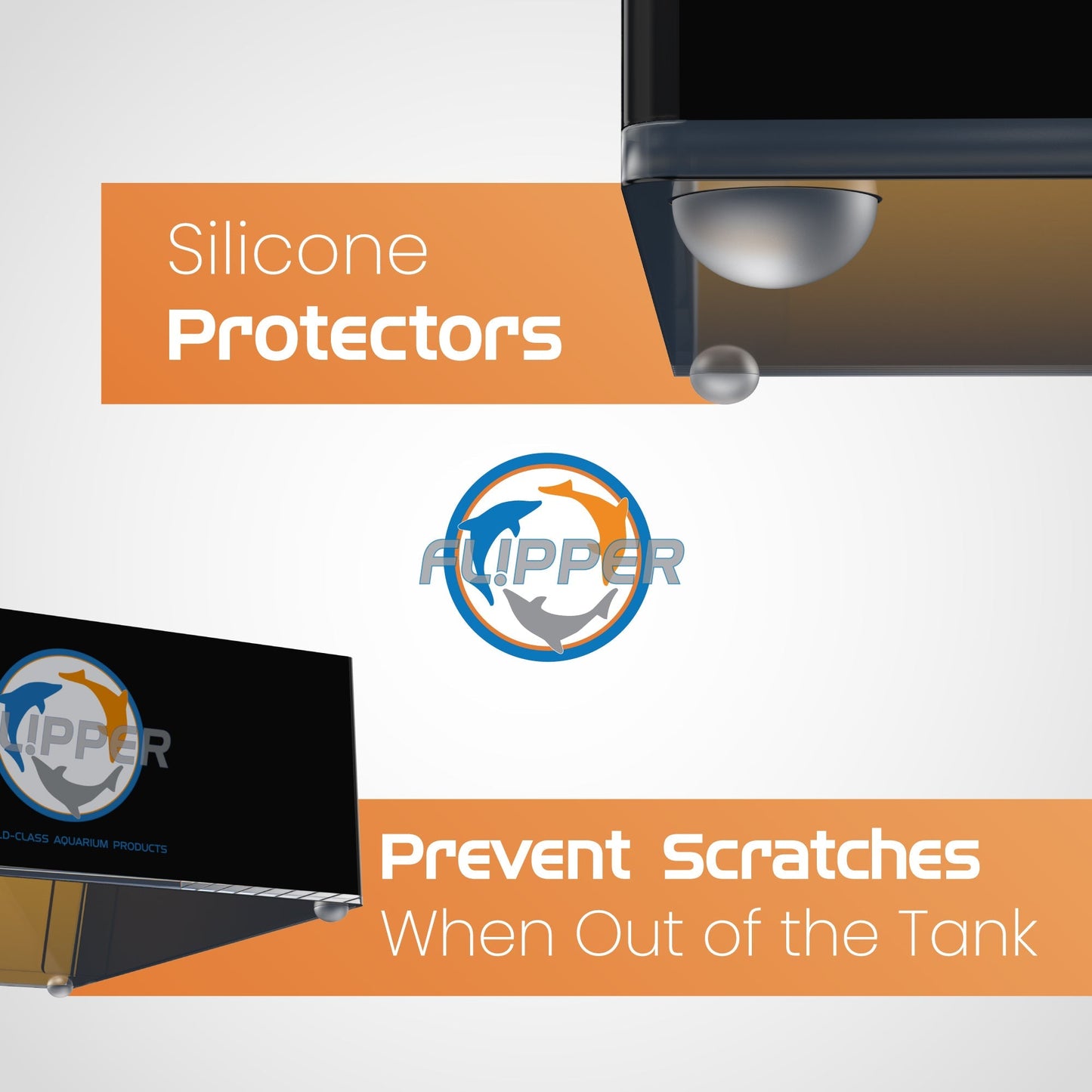 Top Down Viewer Clownfish - 8’’ panel - Show