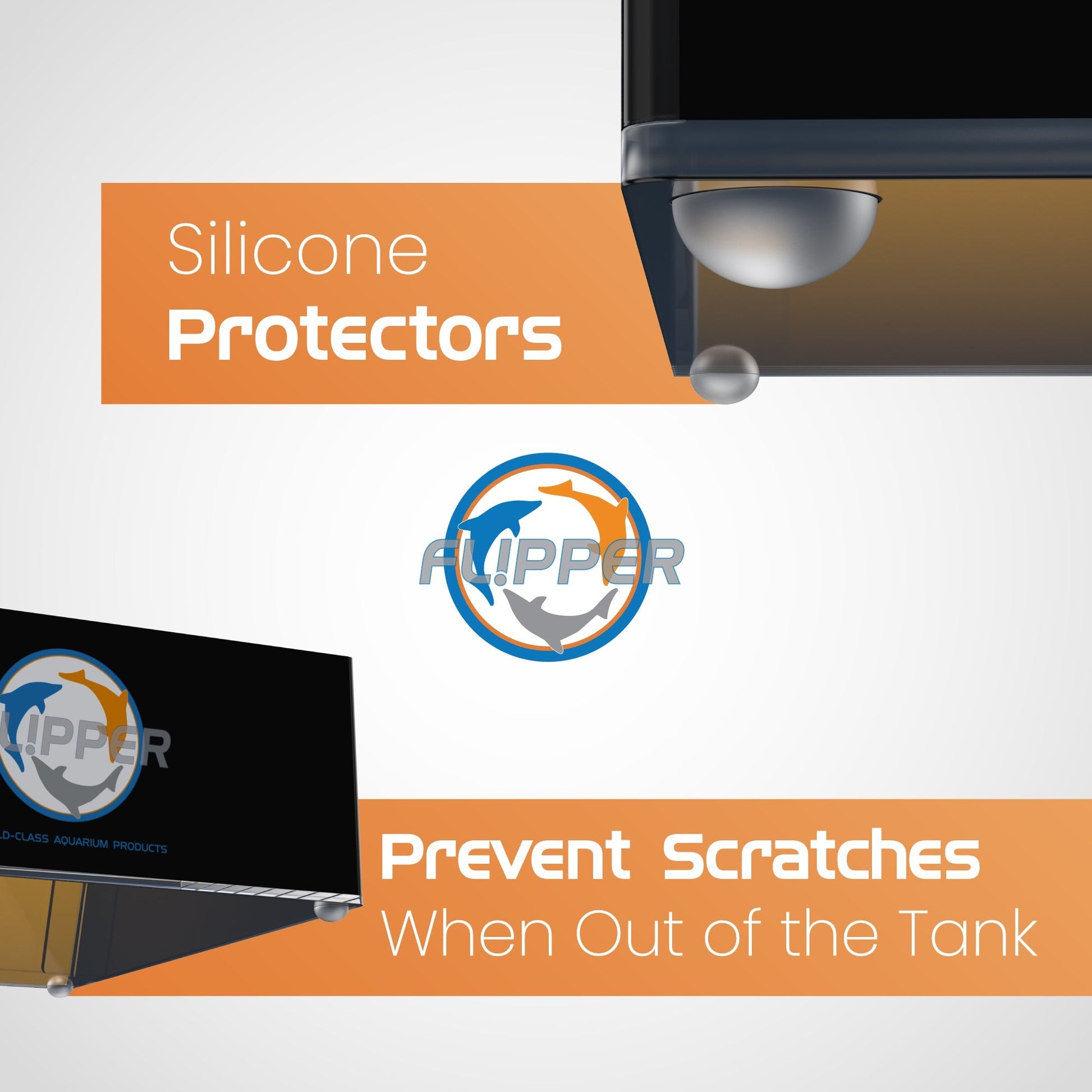 Top Down Viewer Clownfish - 8’’ panel - Show