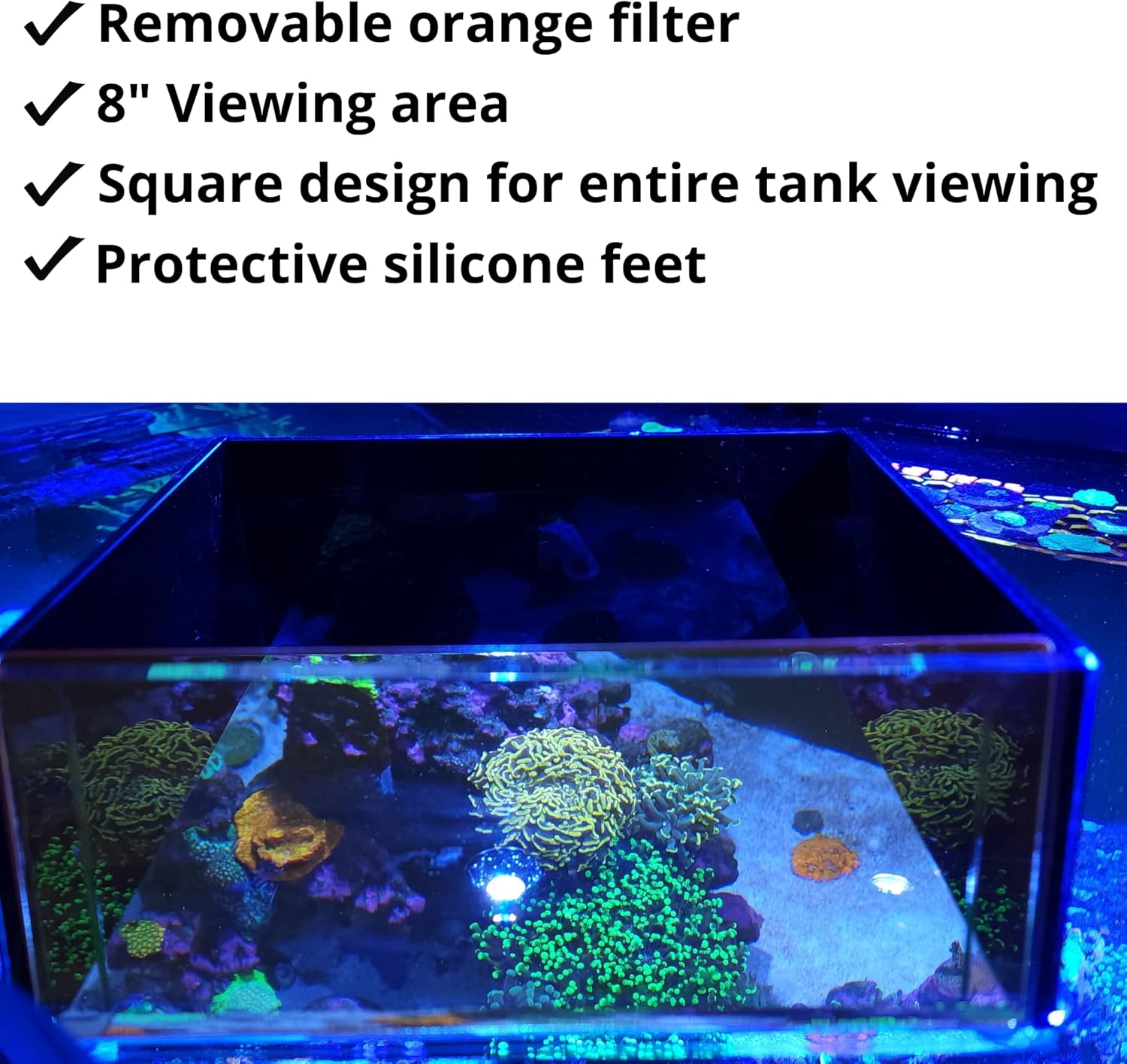 Top Down Viewer Zoa - 8’’ panel - Show