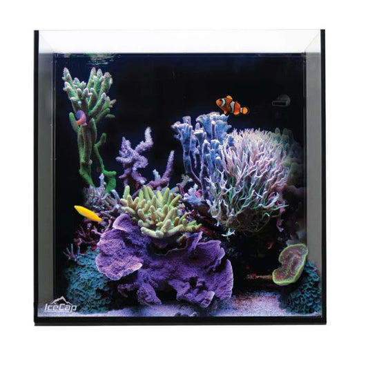 20 Gallon Cube AIO Rimless Glass Aquarium - IceCap