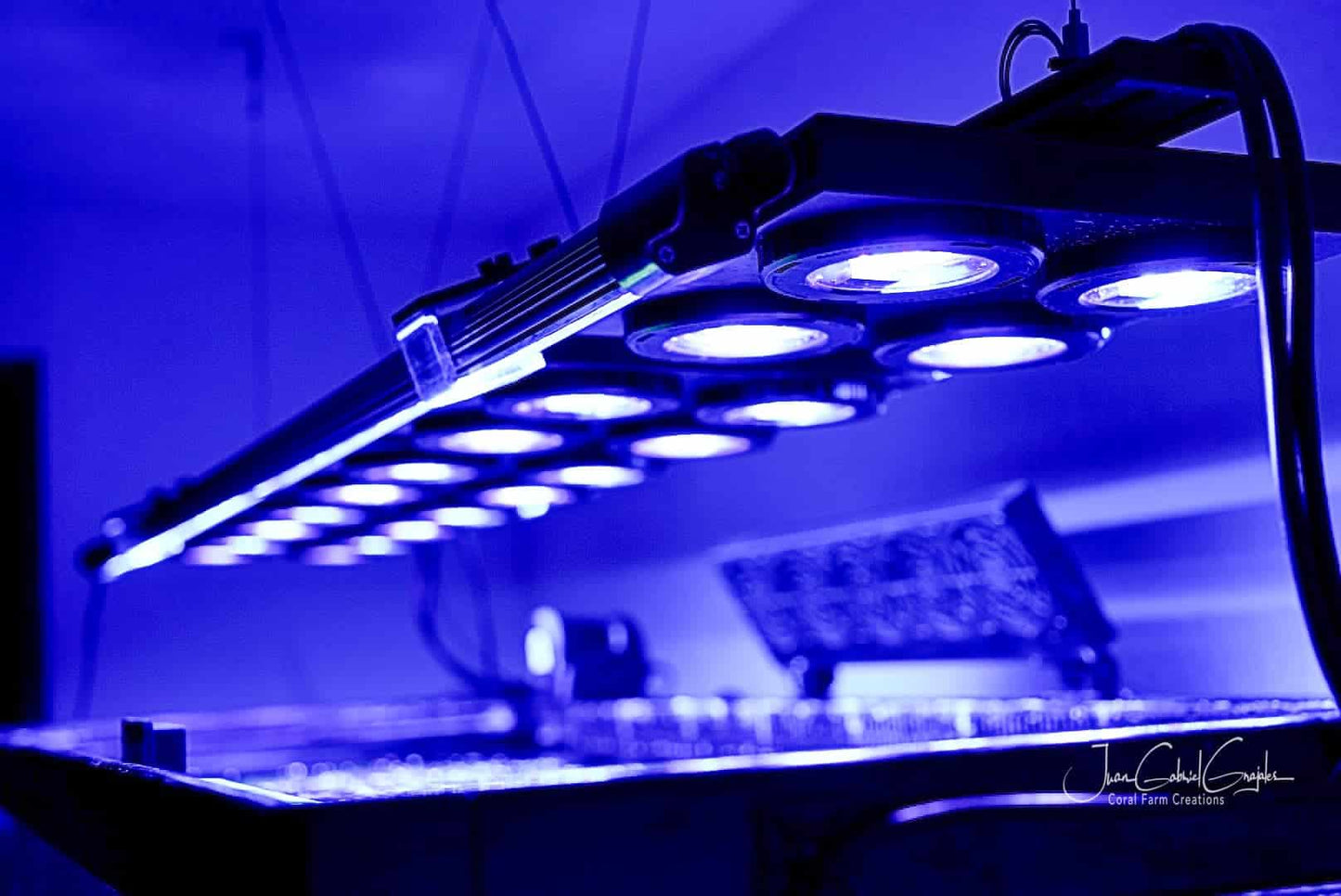 X4 Beast Mode SPS Lighting Bundle All Sizes - lighting bundle pack