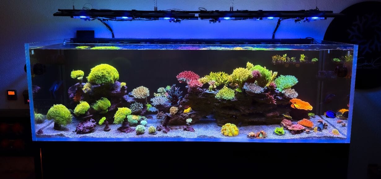 X4 Lighting Bundle - lighting bundle pack